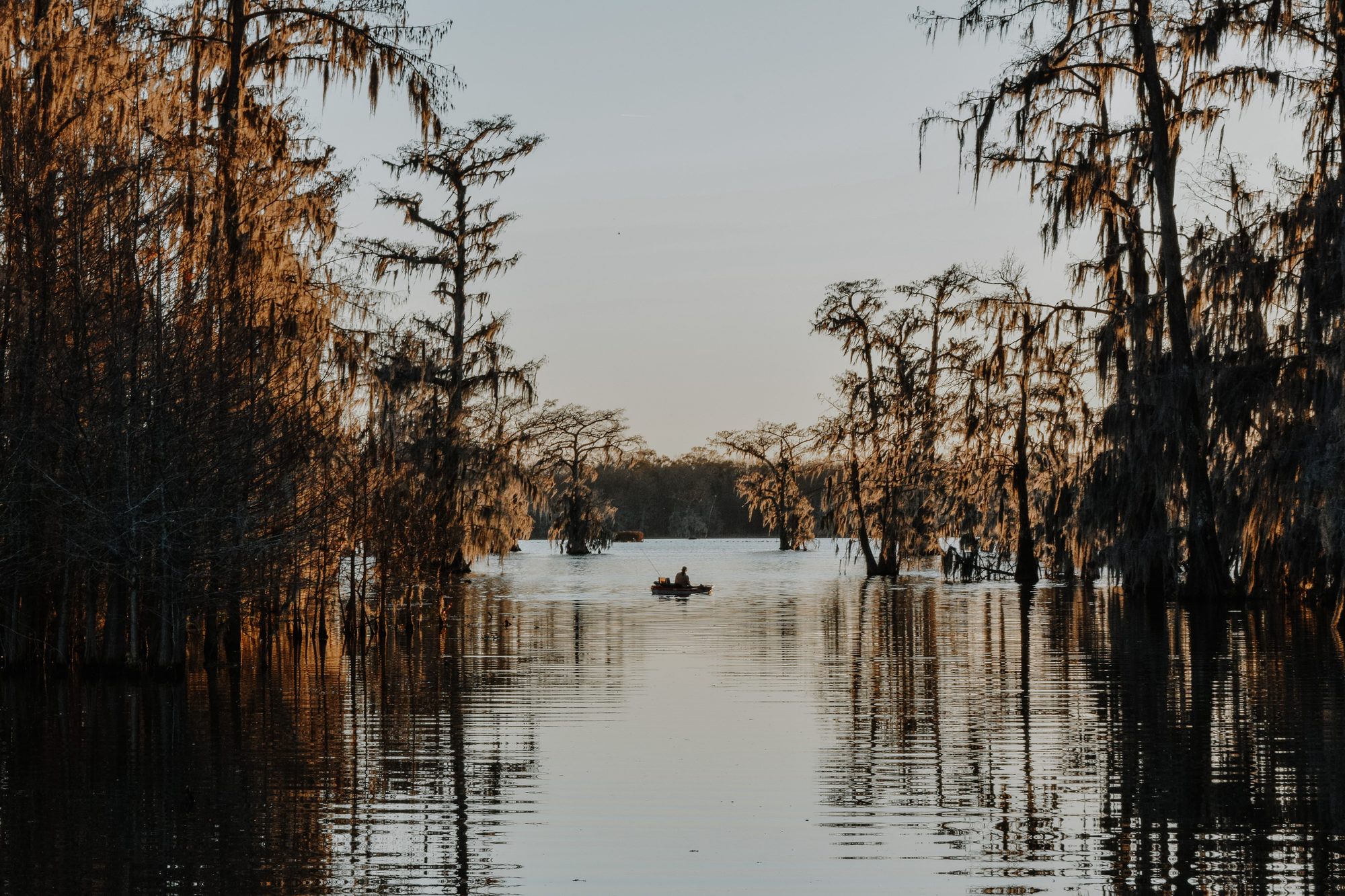 Exploring A Hidden Gem of Louisiana